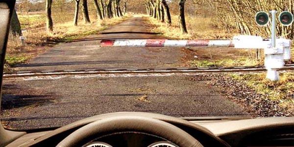 سوال 918: عالئم خونریزی از سرخرگ بزرگ کدامند و اولین اقدام در کمک های اولیه هنگام خونریزی از سرخرگ بزرگ کدام است؟ بر روی زخم پانسمان فشاری قرار داده می .از زخم خون تیره رنگ به آرامی خارج می شود.